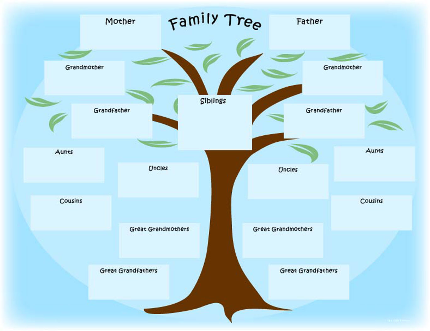 What Is The Best Genealogy Program To Use